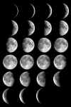 Moon phases.jpg (269598 bytes)