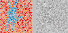 colour blind 1.gif (45093 bytes)