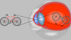 eye_see_bike.gif (21872 bytes)